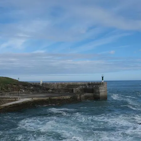 La Casa Periquita * رينلو